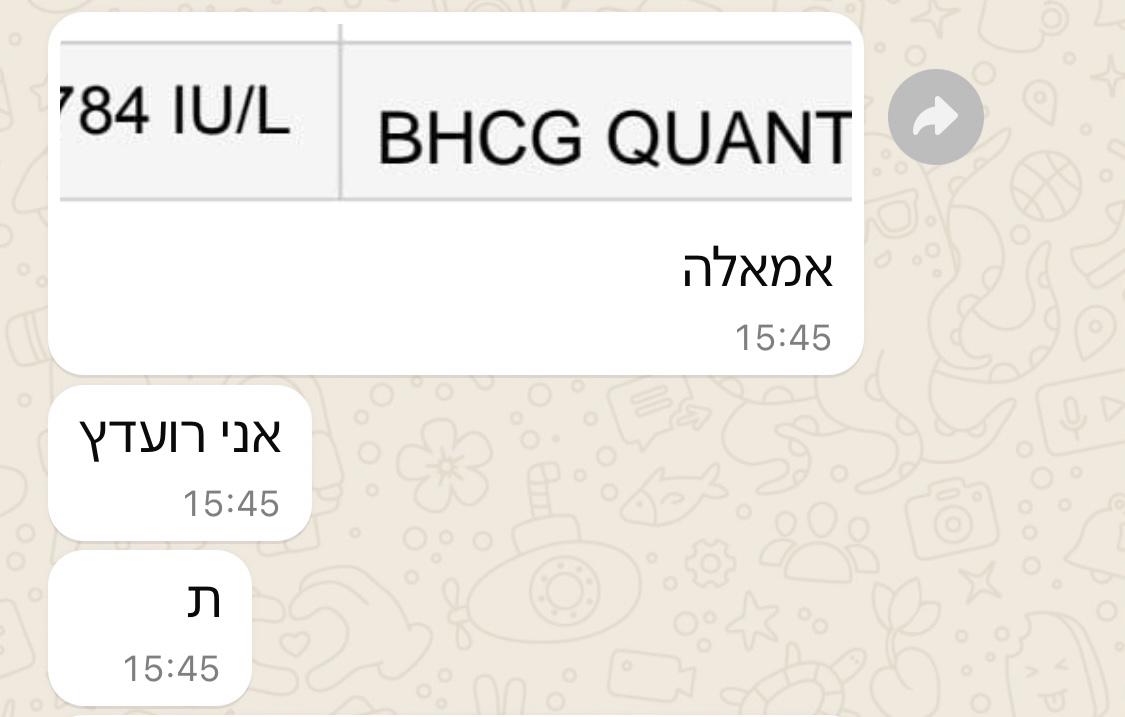 WhatsApp Image 2024-06-19 at 16.02.41